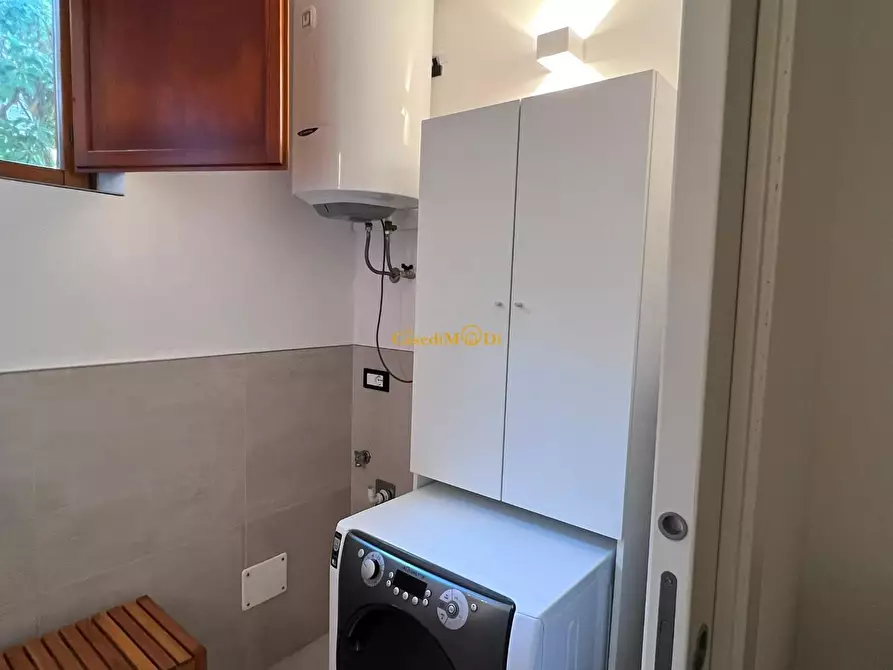 Immagine 18 di Seminterrato in vendita  a Rosignano Marittimo