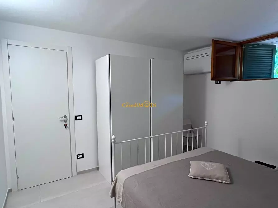 Immagine 10 di Seminterrato in vendita  a Rosignano Marittimo