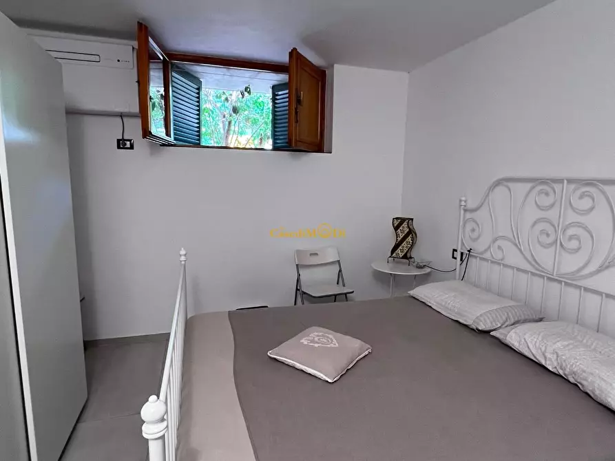 Immagine 8 di Seminterrato in vendita  a Rosignano Marittimo