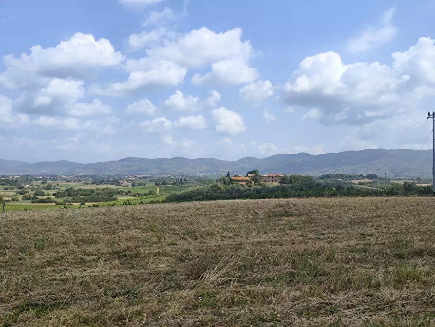 Immagine 7 di Casa colonica in vendita  a Cerreto Guidi
