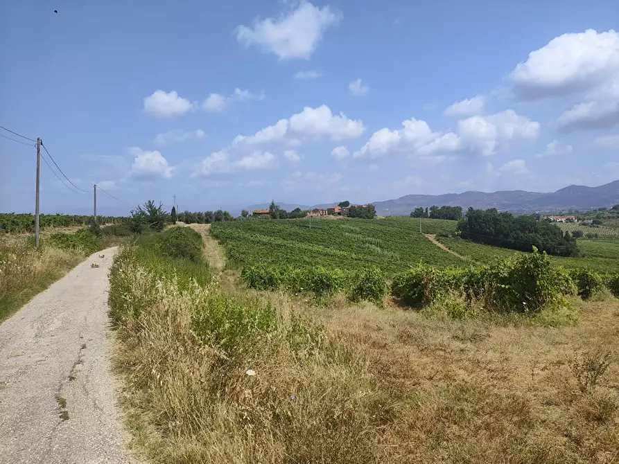 Immagine 13 di Casa colonica in vendita  a Cerreto Guidi
