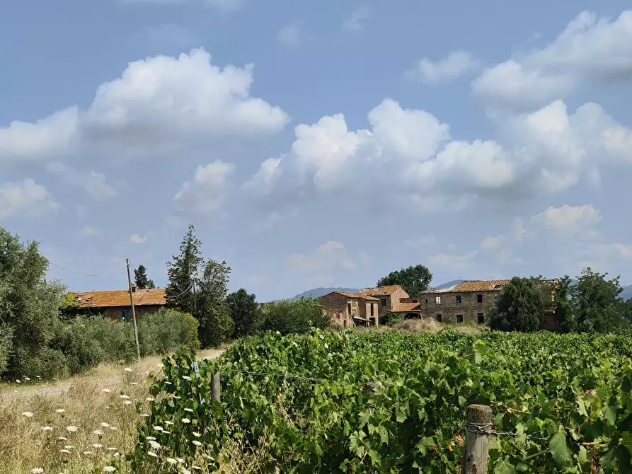 Immagine 10 di Casa colonica in vendita  a Cerreto Guidi
