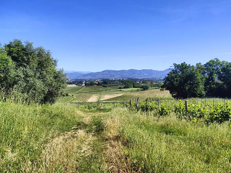 Immagine 3 di Casa colonica in vendita  a Cerreto Guidi