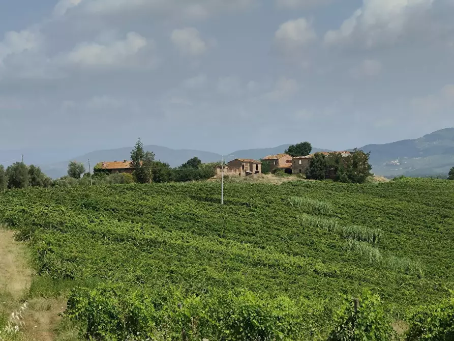 Immagine 11 di Casa colonica in vendita  a Cerreto Guidi