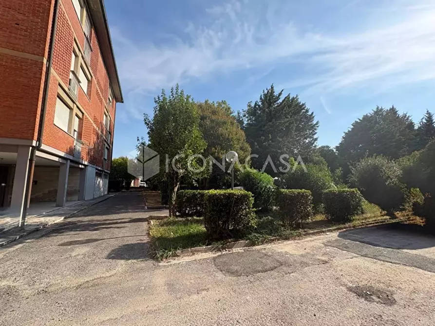 Immagine 32 di Appartamento in vendita  a Pontedera