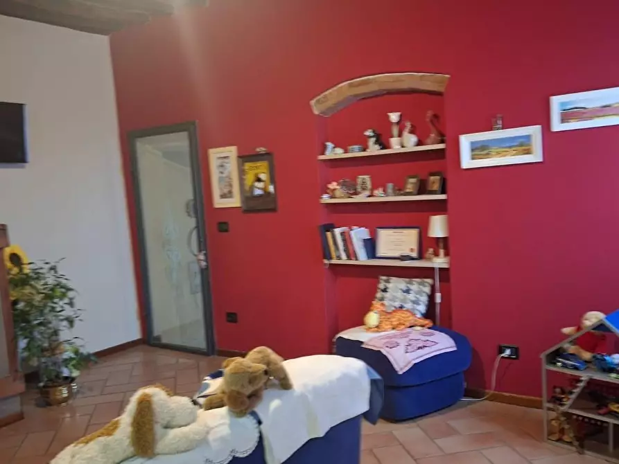 Immagine 5 di Terratetto in vendita  a Terricciola
