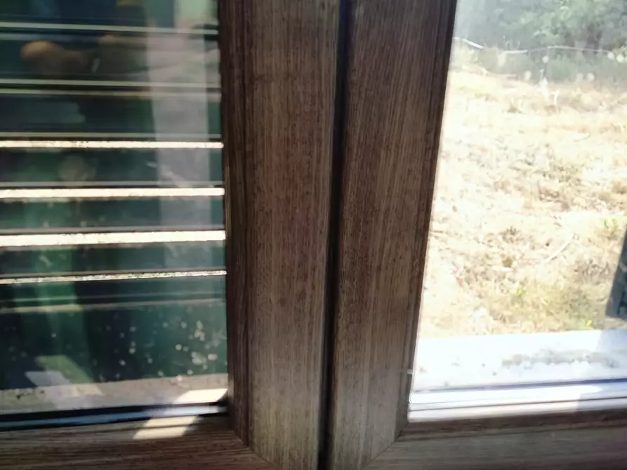 Immagine 18 di Casa semindipendente in vendita  a Rosignano Marittimo