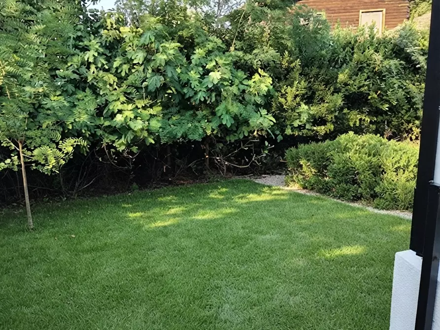 Immagine 17 di Casa semindipendente in vendita  a Rosignano Marittimo