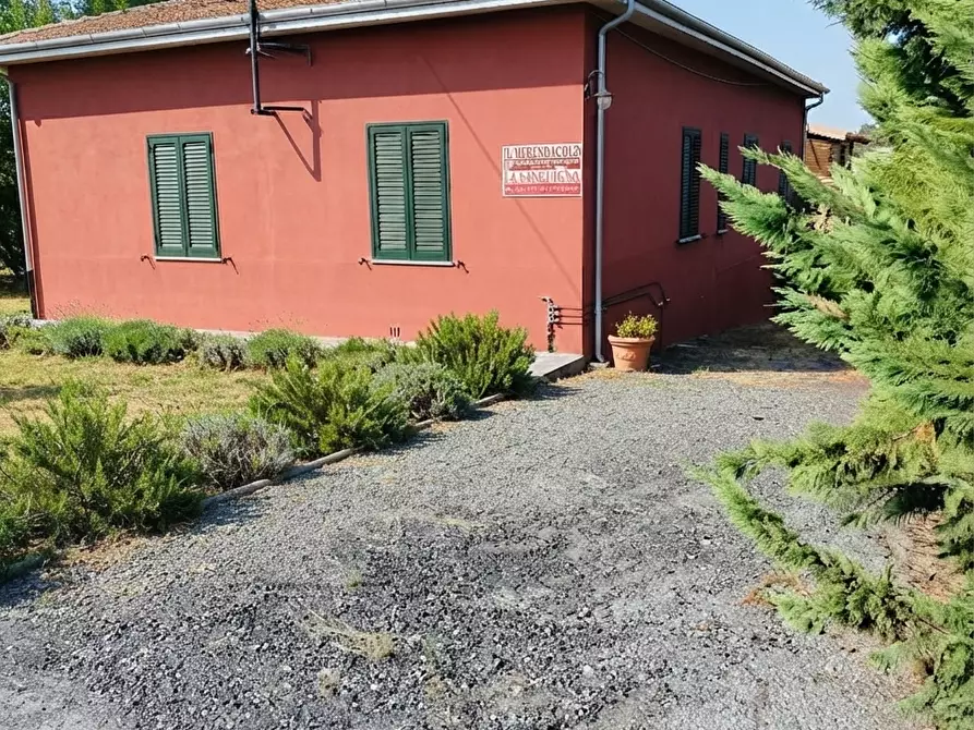 Immagine 2 di Casa semindipendente in vendita  a Rosignano Marittimo