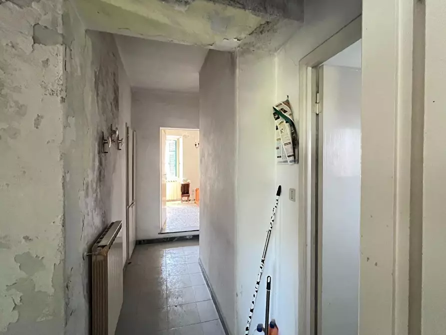Immagine 26 di Terratetto in vendita  a Massa