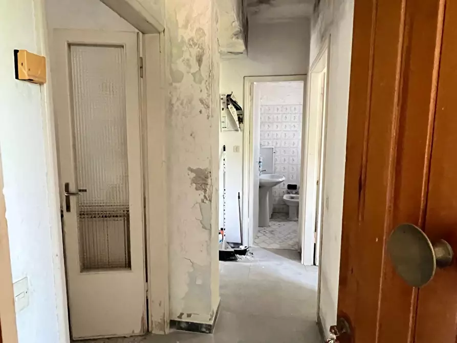 Immagine 19 di Terratetto in vendita  a Massa