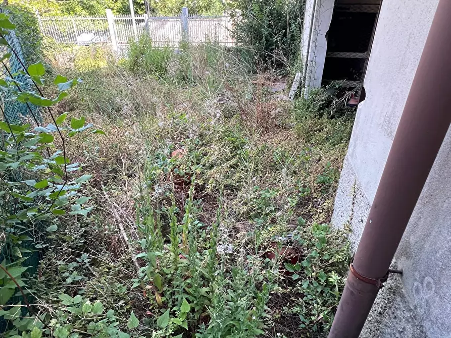 Immagine 36 di Terratetto in vendita  a Massa