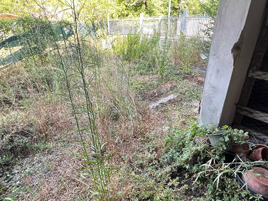 Immagine 35 di Terratetto in vendita  a Massa