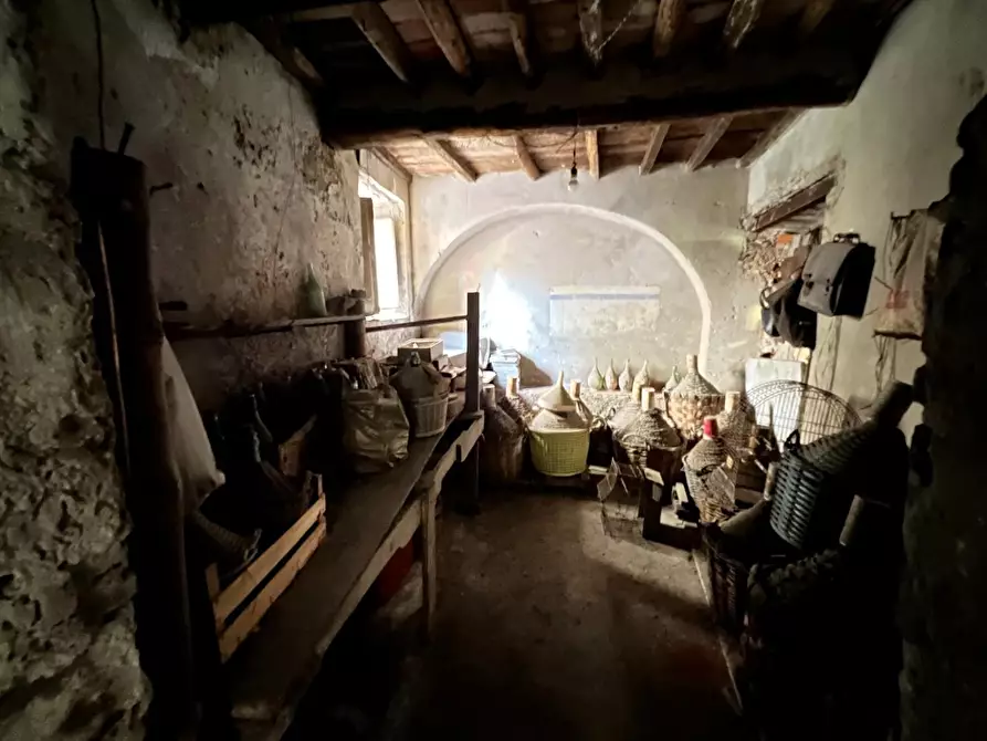 Immagine 43 di Terratetto in vendita  a Massa