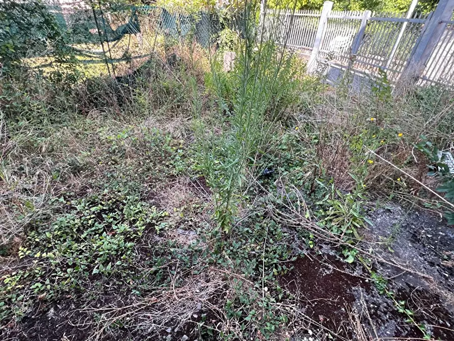 Immagine 38 di Terratetto in vendita  a Massa