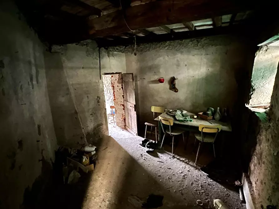 Immagine 46 di Terratetto in vendita  a Massa