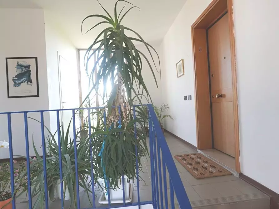 Immagine 32 di Appartamento in vendita  a Lucca