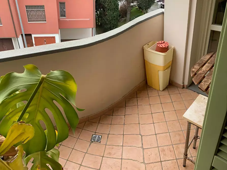 Immagine 3 di Appartamento in affitto  a Pisa