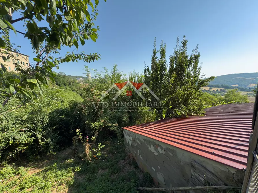 Immagine 9 di Appartamento in vendita  a Castelnuovo Val Di Cecina