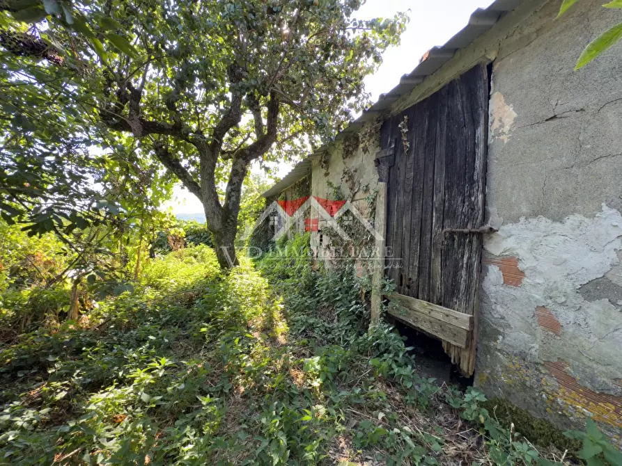 Immagine 7 di Appartamento in vendita  a Castelnuovo Val Di Cecina