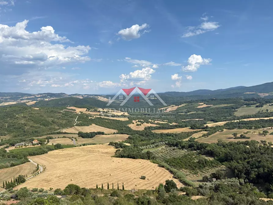 Immagine 7 di Appartamento in vendita  a Castelnuovo Val Di Cecina