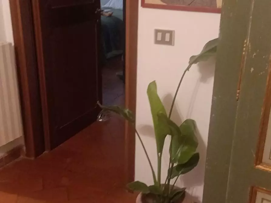 Immagine 7 di Appartamento in affitto  a Pisa