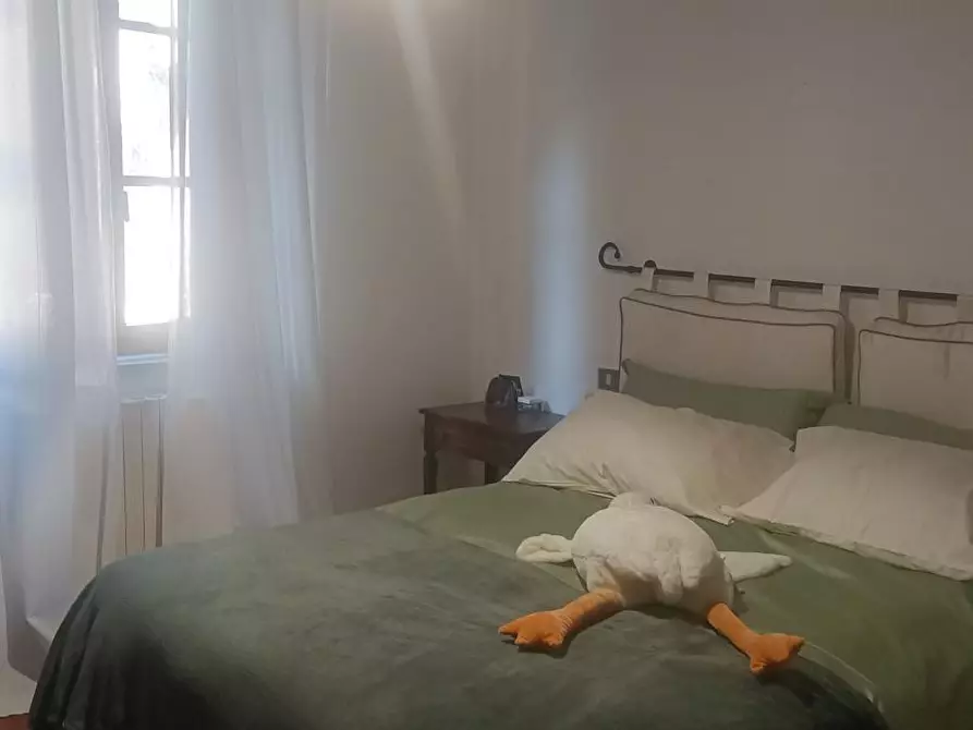 Immagine 2 di Appartamento in affitto  a Pisa