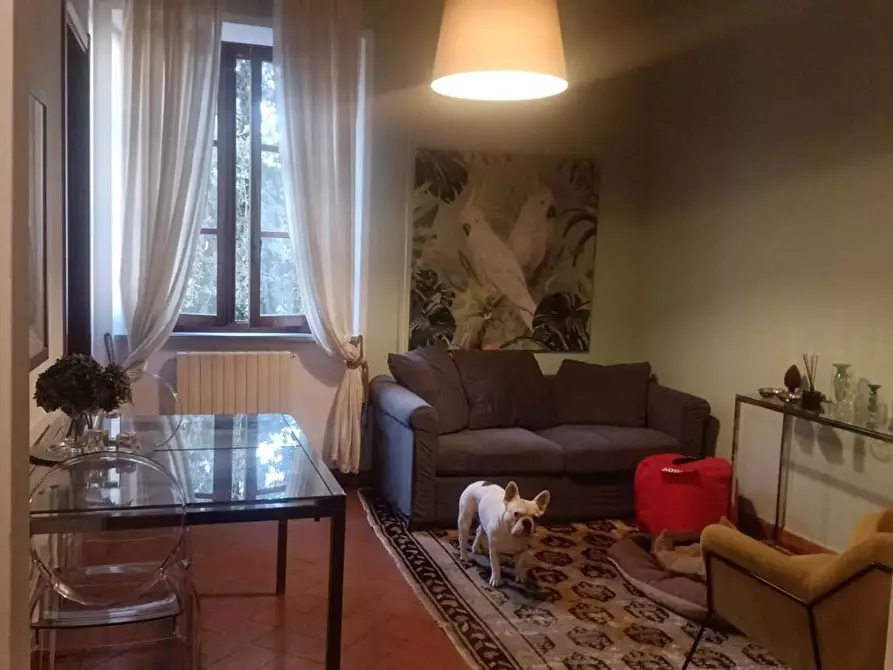 Immagine 1 di Appartamento in affitto  a Pisa