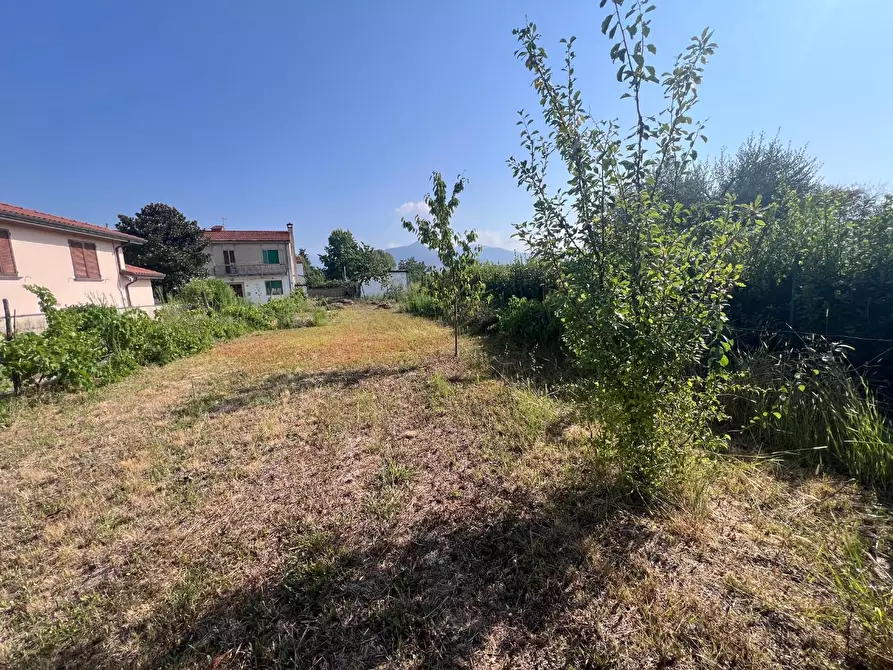 Immagine 11 di Terratetto in vendita  a Cascina