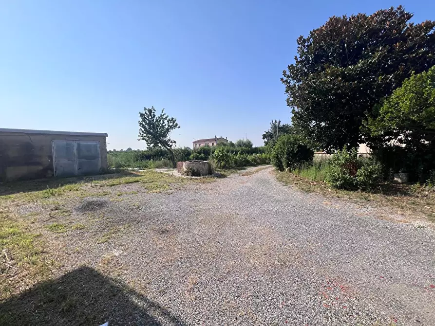 Immagine 8 di Terratetto in vendita  a Cascina