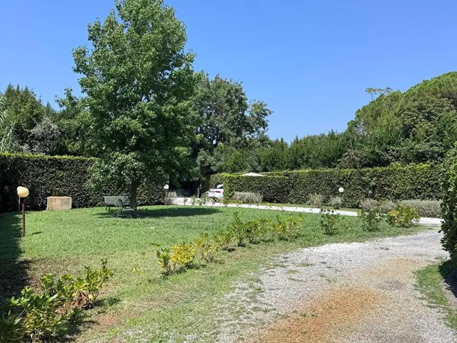 Immagine 15 di Appartamento in vendita  a Pisa