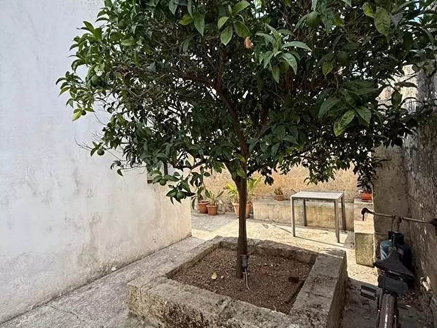 Immagine 20 di Appartamento in vendita  a Alessano