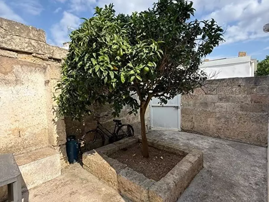 Immagine 18 di Appartamento in vendita  a Alessano