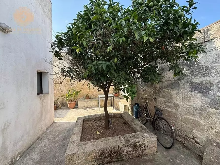 Immagine 19 di Appartamento in vendita  a Alessano