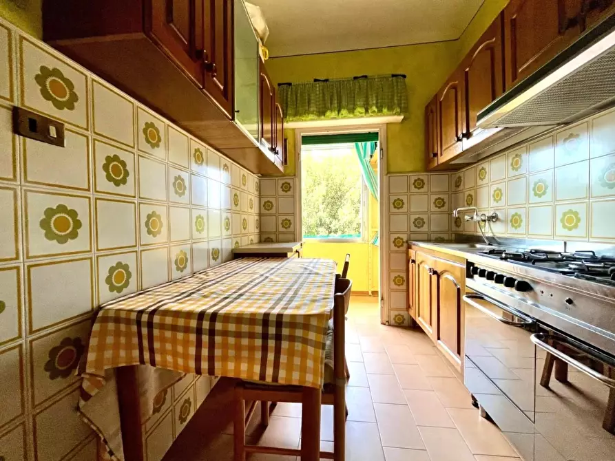 Immagine 1 di Appartamento in vendita  a Pescia