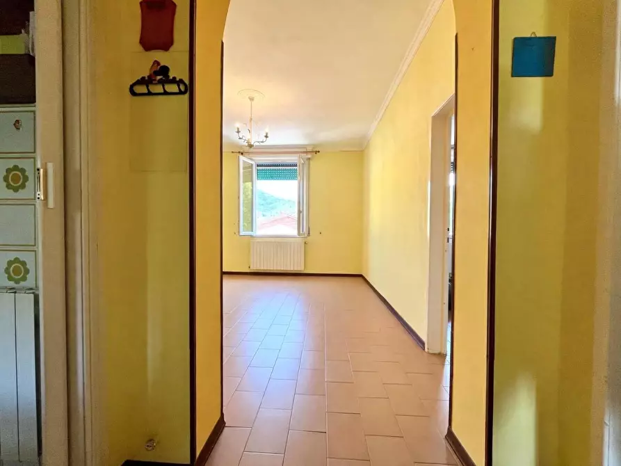 Immagine 3 di Appartamento in vendita  a Pescia