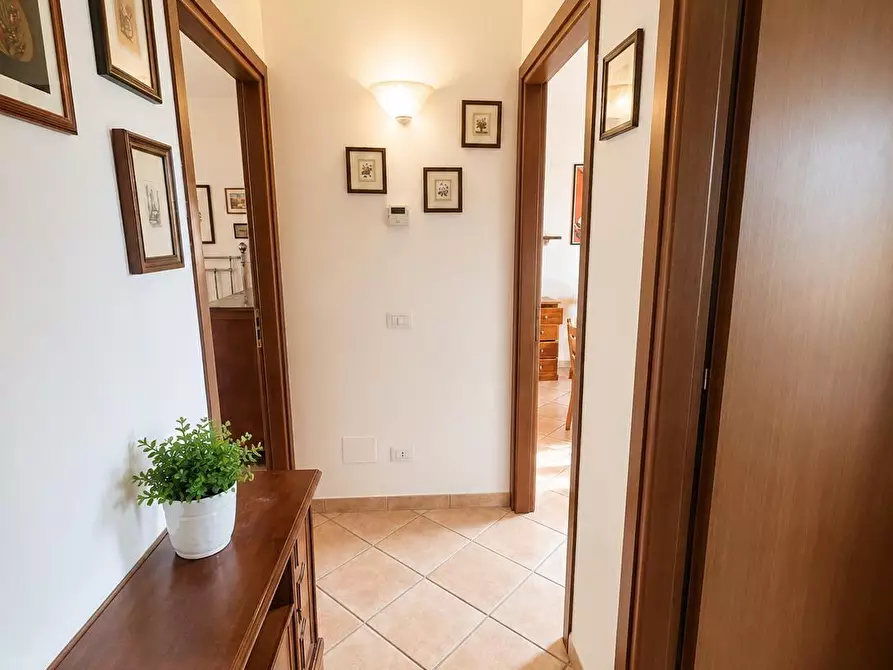 Immagine 4 di Appartamento in vendita  a Campiglia Marittima