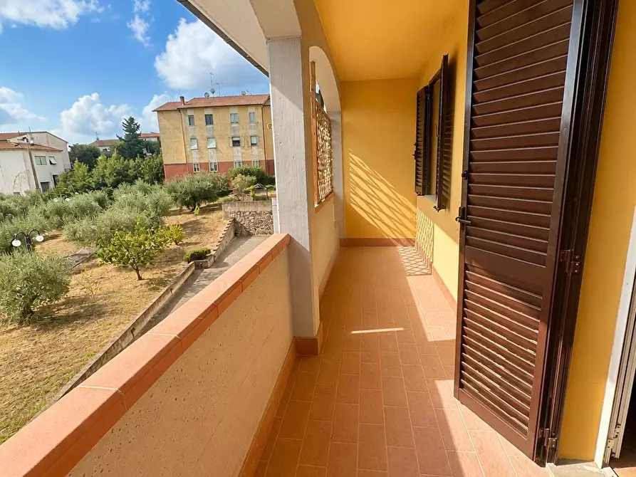 Immagine 7 di Appartamento in vendita  a Campiglia Marittima