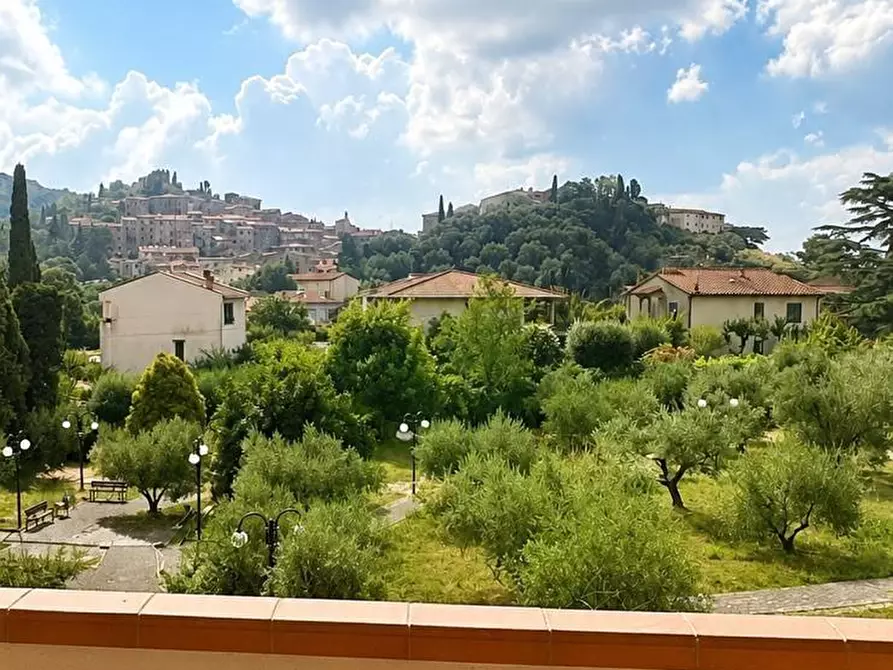 Immagine 9 di Appartamento in vendita  a Campiglia Marittima