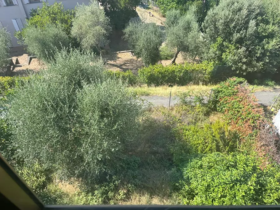 Immagine 8 di Appartamento in vendita  a Terricciola