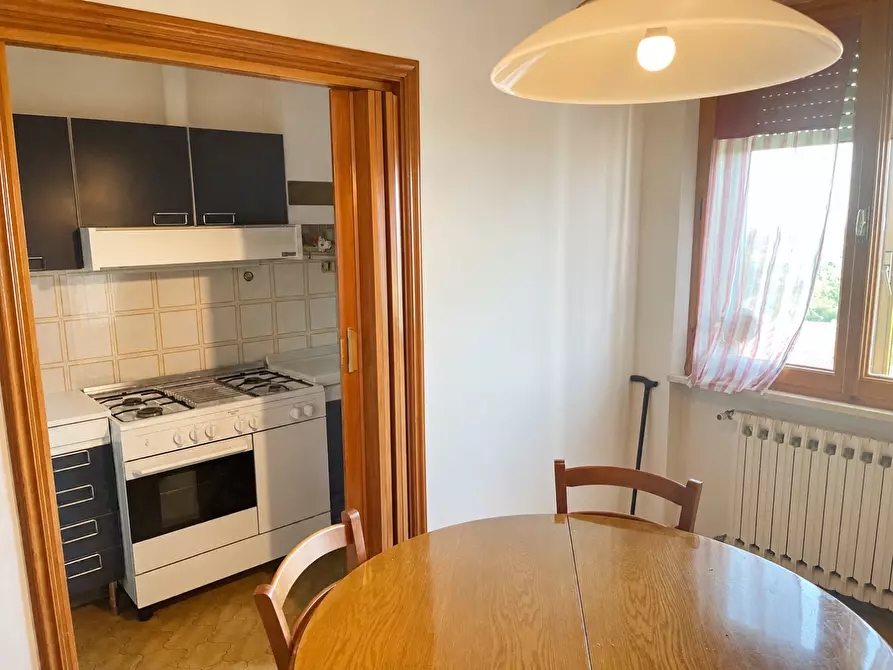 Immagine 4 di Appartamento in vendita  a Terricciola