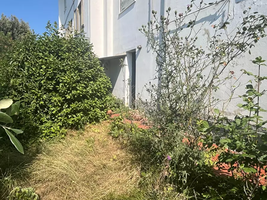 Immagine 7 di Appartamento in vendita  a Terricciola