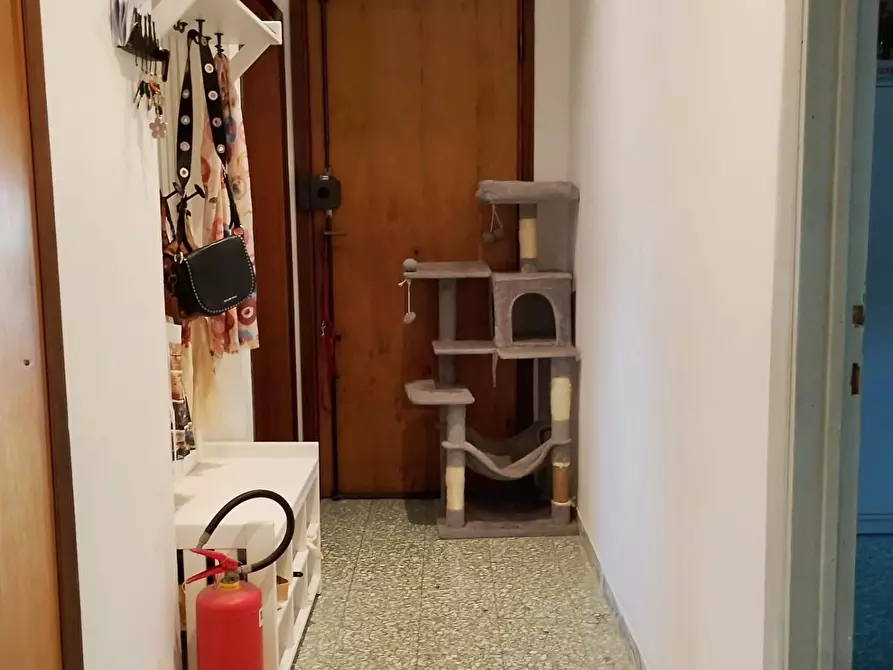 Immagine 19 di Appartamento in vendita  a Pontedera