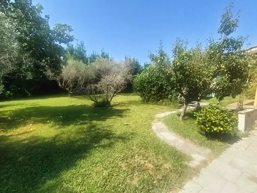 Immagine 8 di Terreno agricolo in vendita  a Carrara