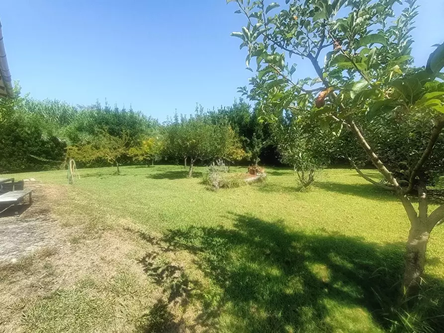 Immagine 7 di Terreno agricolo in vendita  a Carrara