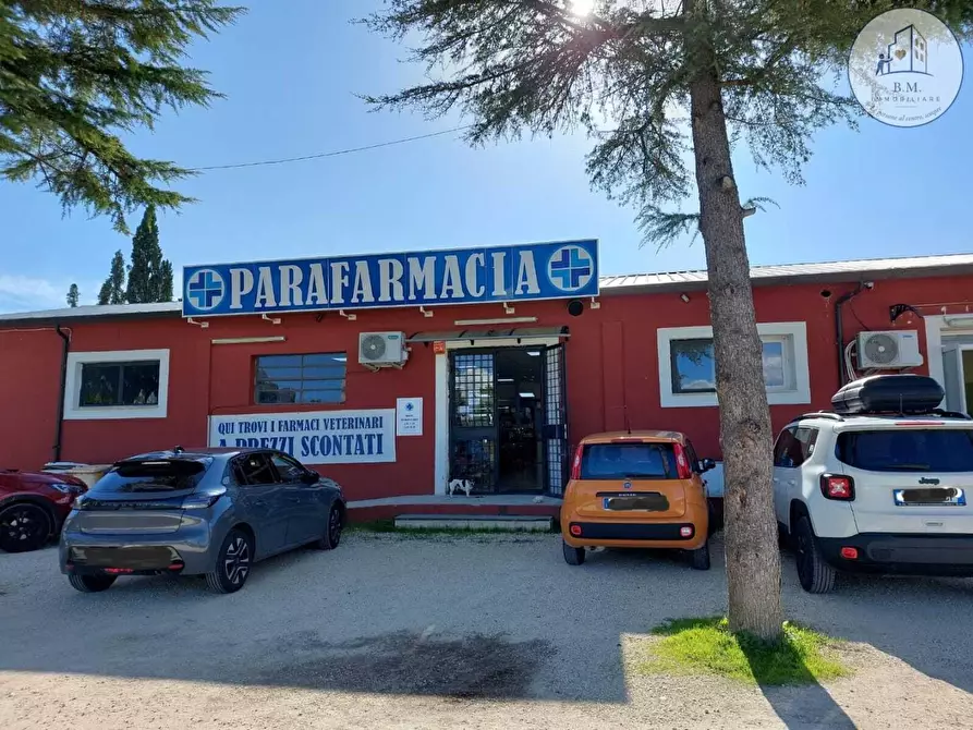 Immagine 15 di Attività commerciale in vendita  a Montelibretti