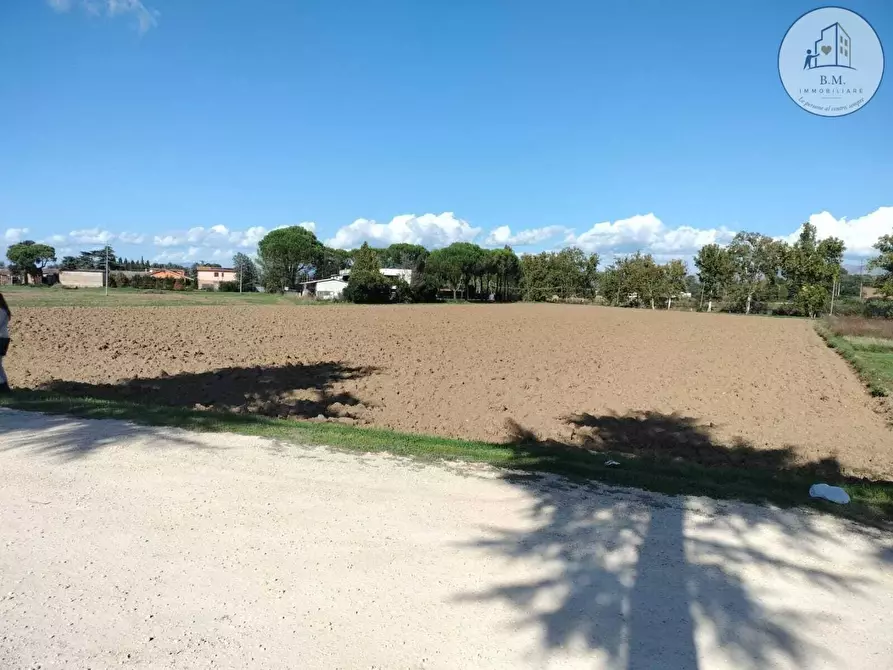 Immagine 23 di Attività commerciale in vendita  a Montelibretti
