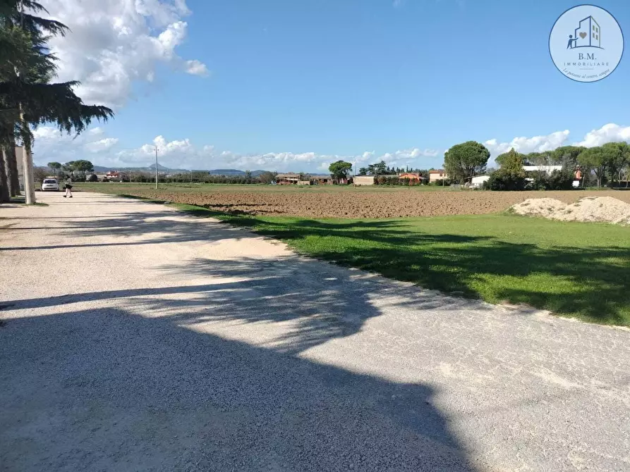 Immagine 22 di Attività commerciale in vendita  a Montelibretti