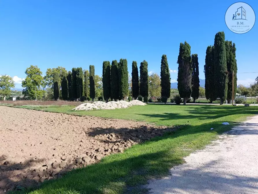 Immagine 21 di Attività commerciale in vendita  a Montelibretti