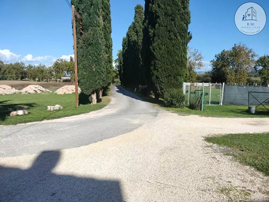 Immagine 19 di Attività commerciale in vendita  a Montelibretti